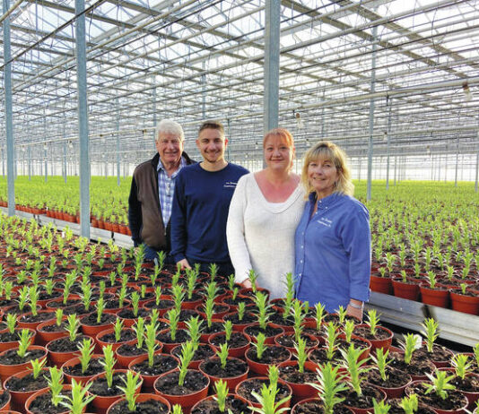 
			
				                                Some members of the van Hoekelen family at van Hoekelen Greenhouses Inc. near Hazleton. From left, are: Cok van Hoekelen, two of his children — Alex van Hoekelen and Lori Bowser — and wife Lori, who is the owner and CEO of the business that opened in 1988.
                                 Submitted photo

			
		