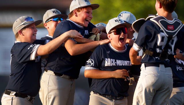 Little League: Back Mountain National wins state opener in odd